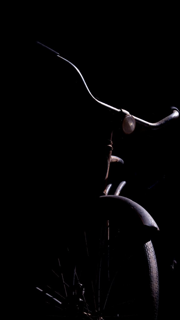 Bike in coffee shop, Raleigh, NC